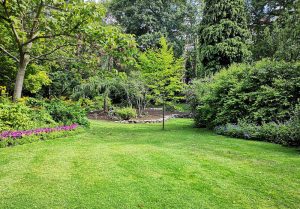Optimiser l'expérience du jardin à Brives-Charensac